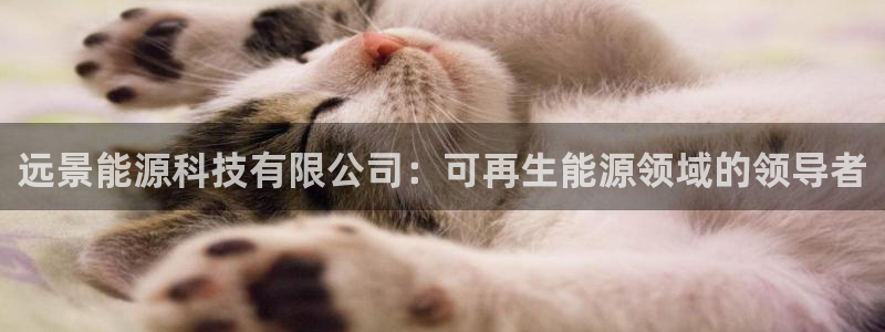 sunbet游戏最新版
