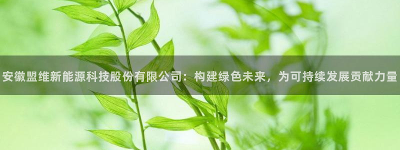 申博官网手机版下载app