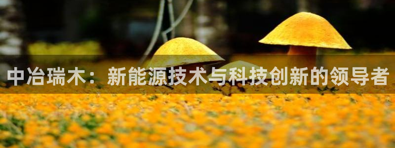 sunbet手机版官网下载