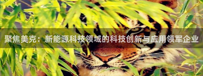 申博官网电脑版下载