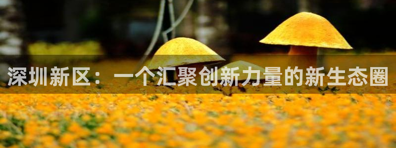 sunbet最新登陆