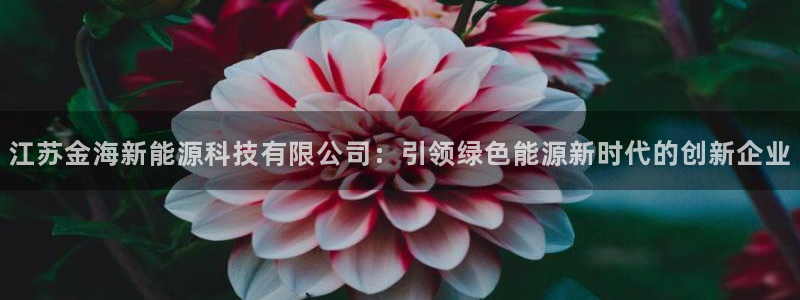 sunbet中国官网
