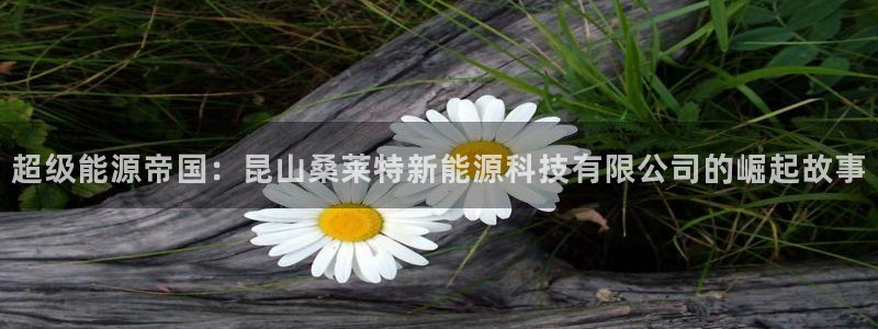 sunbet官网手机版登录
