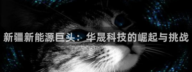 sunbet官网开户登录手机版