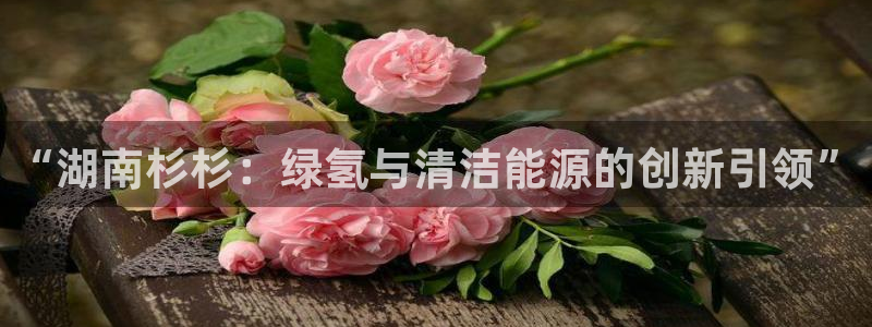 sunbet最新消息