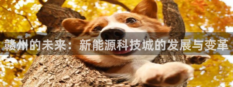 申博官网手机版下载app
