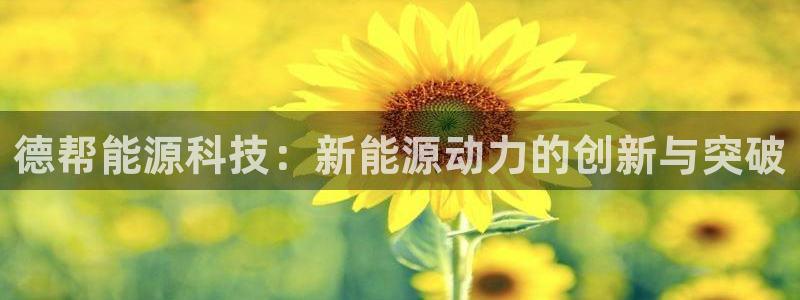 sunbet官网手机版