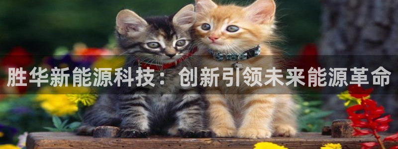 sunbet官网welcome