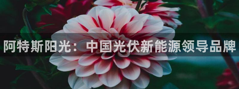 申博官方网址
