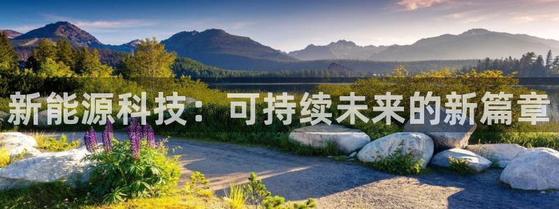 sunbet源码
