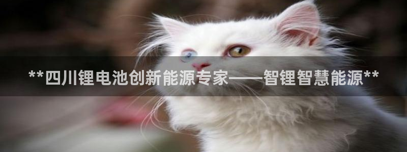 sunbet手机端